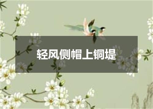 轻风侧帽上铜堤