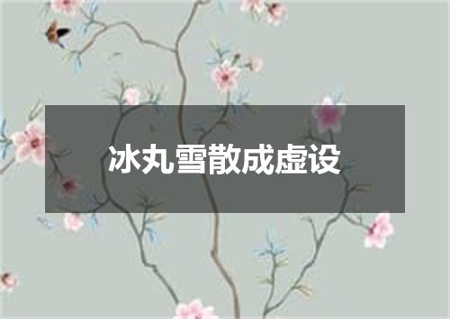 冰丸雪散成虚设