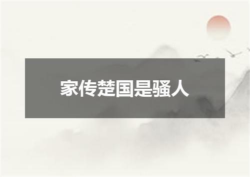家传楚国是骚人