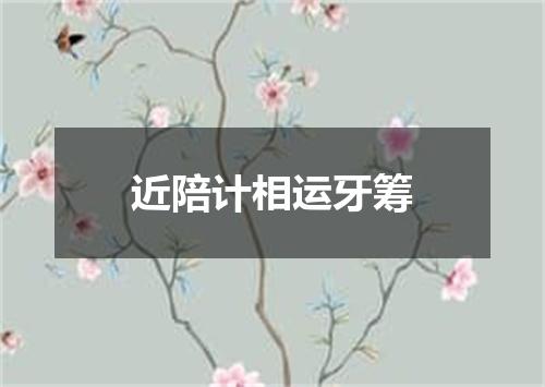 近陪计相运牙筹