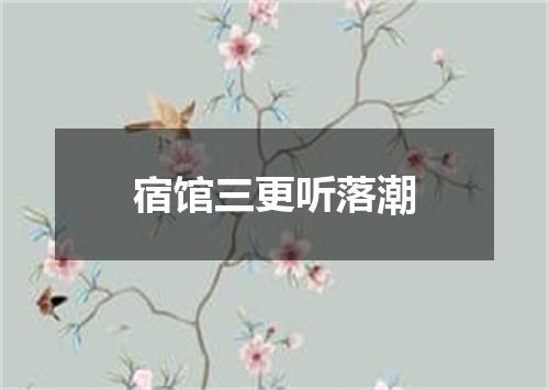 宿馆三更听落潮