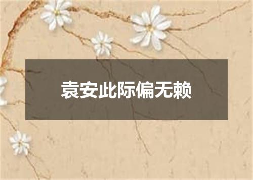 袁安此际偏无赖
