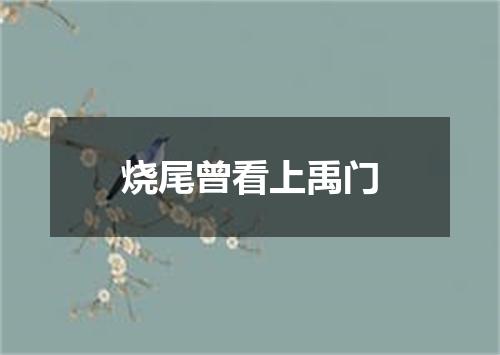 烧尾曾看上禹门