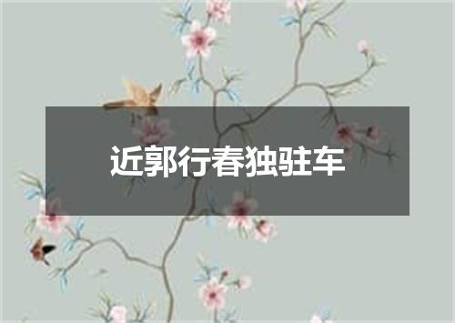 近郭行春独驻车