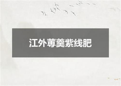 江外蒪羹紫线肥