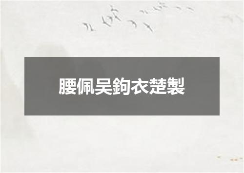 腰佩吴鉤衣楚製