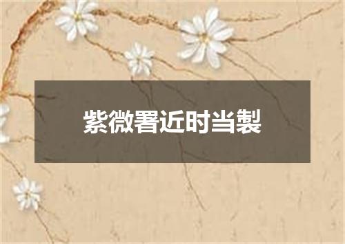 紫微署近时当製