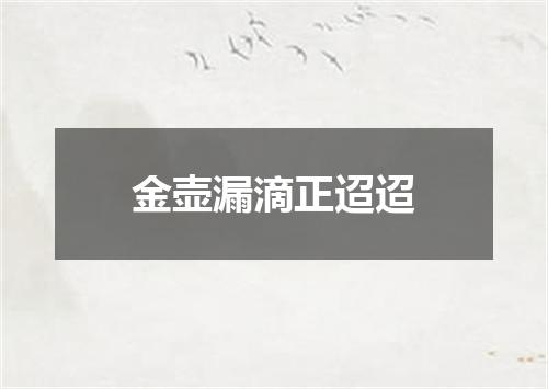 金壶漏滴正迢迢