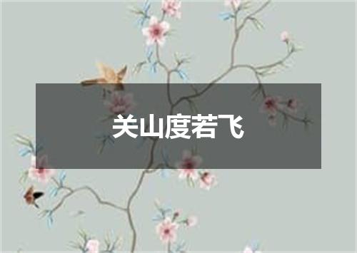 关山度若飞