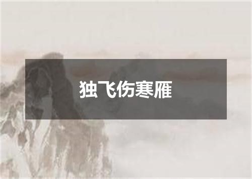 独飞伤寒雁