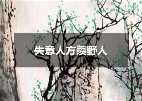 失意人方羡野人