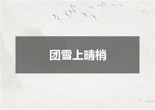 团雪上晴梢