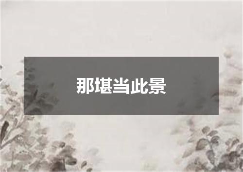 那堪当此景