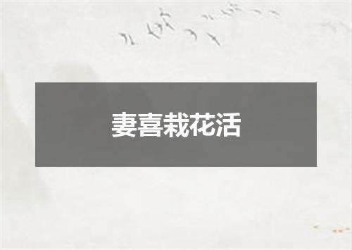 妻喜栽花活