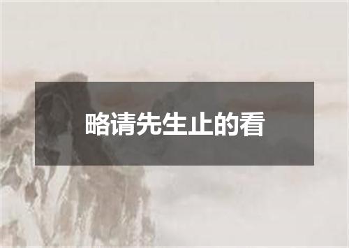 略请先生止的看