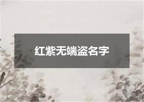 红紫无端盗名字
