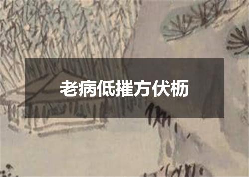 老病低摧方伏枥