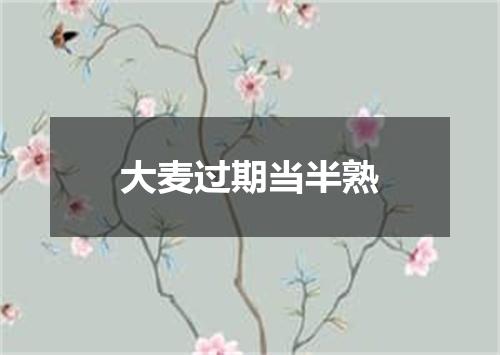 大麦过期当半熟