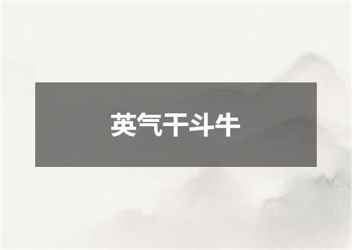 英气干斗牛