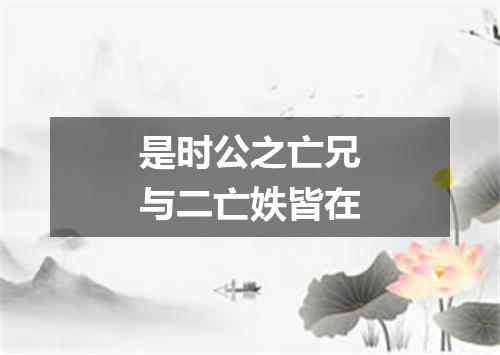 是时公之亡兄与二亡妷皆在