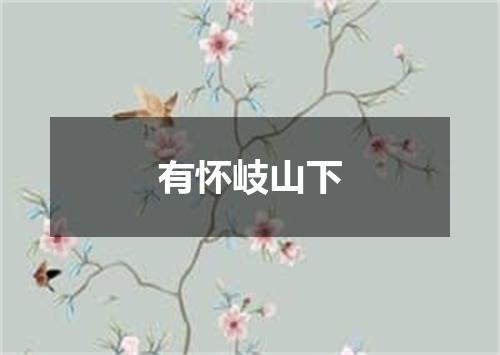 有怀岐山下