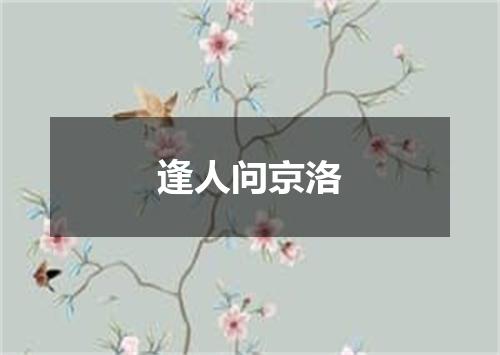 逢人问京洛