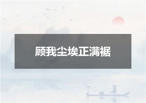 顾我尘埃正满裾