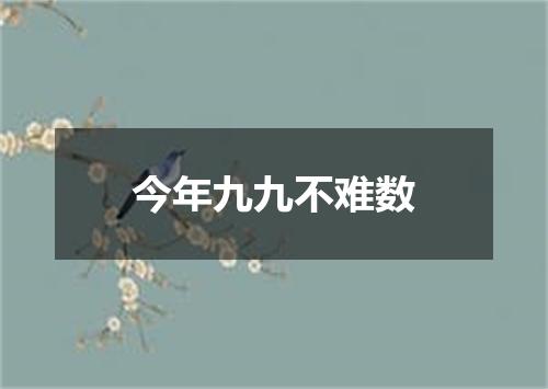 今年九九不难数