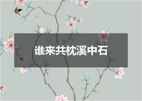 谁来共枕溪中石