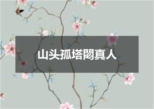 山头孤塔閟真人