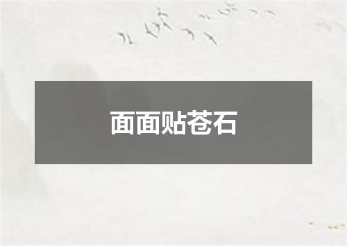 面面贴苍石