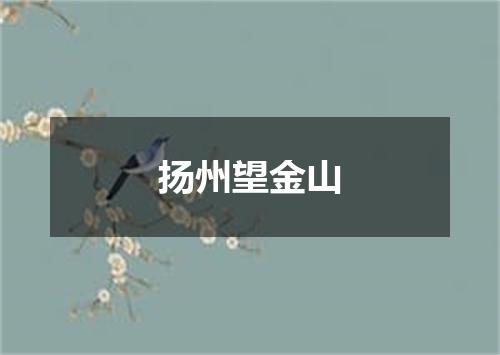 扬州望金山
