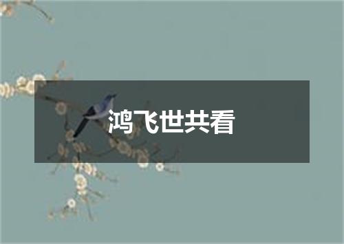 鸿飞世共看