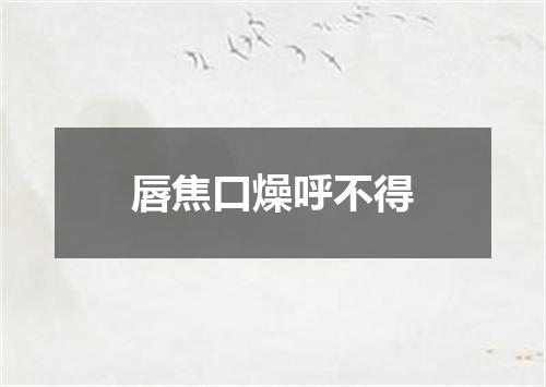 唇焦口燥呼不得