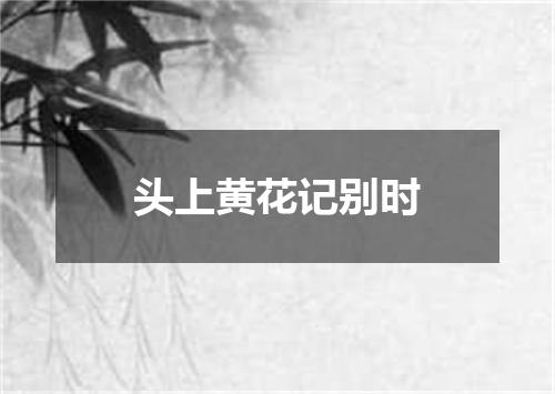 头上黄花记别时