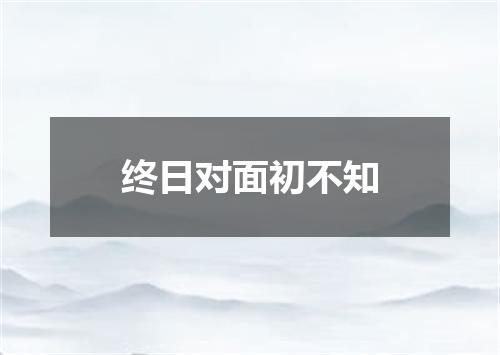终日对面初不知