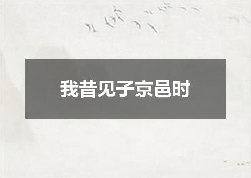 我昔见子京邑时