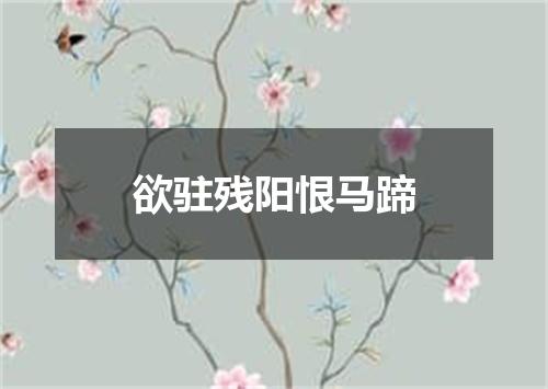 欲驻残阳恨马蹄