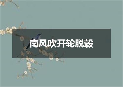 南风吹开轮脱毂