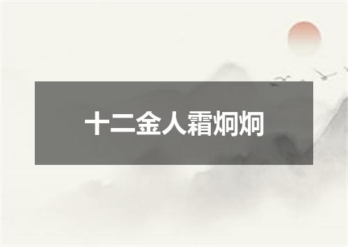 十二金人霜炯炯