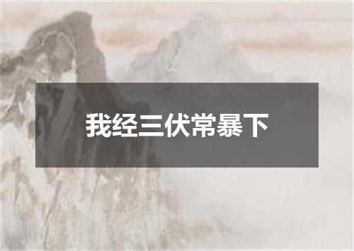 我经三伏常暴下
