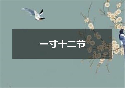 一寸十二节
