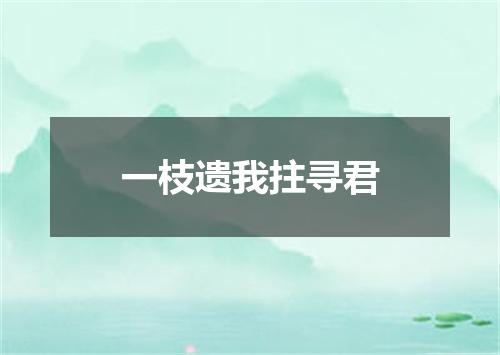 一枝遗我拄寻君