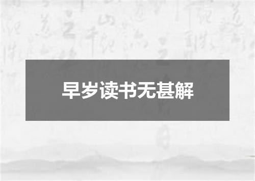 早岁读书无甚解