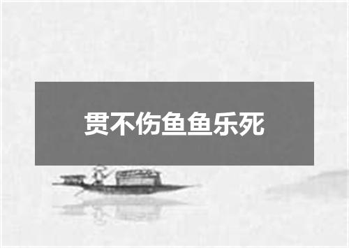 贯不伤鱼鱼乐死