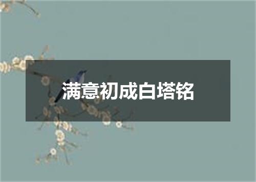 满意初成白塔铭