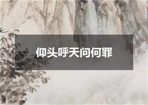 仰头呼天问何罪