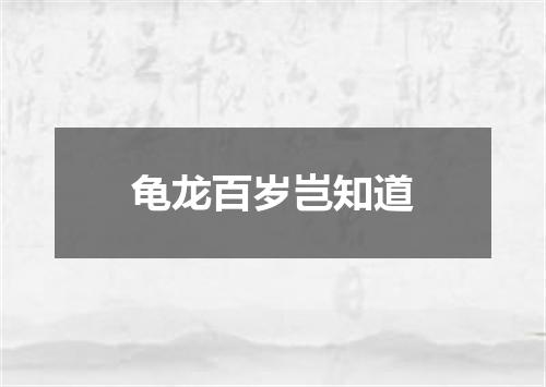 龟龙百岁岂知道