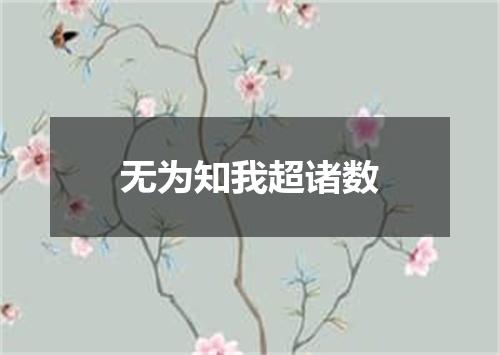 无为知我超诸数