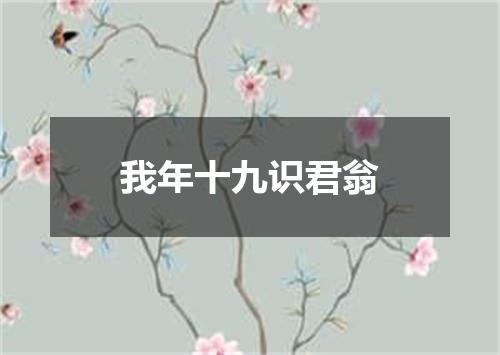 我年十九识君翁